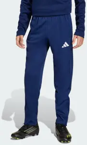 Спортивні штани дитячі Adidas ENTRADA 26 TRAINING PANTS темно-синьо-білі JZ6549