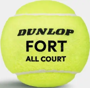 Набір м'ячів для тенісу Dunlop FORT ALL COURT TS 4B жовтий (4 штуки) 601607