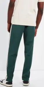 Спортивні штани Ellesse LUXOR зелено-білі SHT19004-502