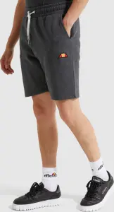 Шорти Ellesse NOLI темно-сірі SHS01894-106