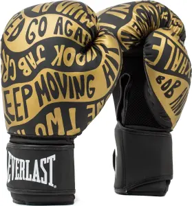 Рукавички боксерські Everlast SPARK TRAINING GLOVES чорно-золоті (12 унцій) 919580-70-8112