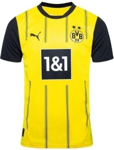 Футболка Боруссія Дортмунд (Borussia Dortmund) 2024-2025 домашня жовто-чорна F0052