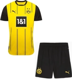 Футбольна форма Боруссія Дортмунд (Borussia Dortmund) 2024-2025 домашня жовто-чорна F0077