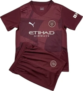 Футбольна форма Манчестер Сіті (Manchester City) 2024-2025 виїзна бордова F0116
