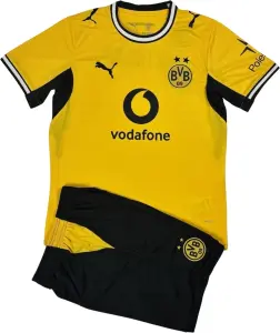 Футбольна форма Боруссія Дортмунд (Borussia Dortmund) 2026-2027 домашня жовто-чорна F0657