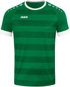 Футболка джерси Jako CELTIC MELANGE S/S зелено-белая 4214-200