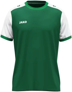 Футболка джерсі Jako DYNAMIC S/S зелено-біла 4270-205
