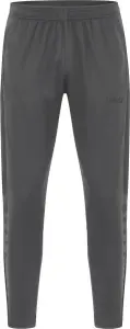 Спортивные штаны Jako POWER серые 9223-820
