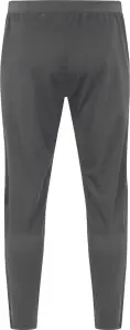 Спортивные штаны Jako POWER серые 9223-820