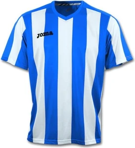Футболка Joma PISA 10 бело-синяя 1165.98.001