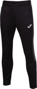 Спортивные штаны Joma ECO CHAMPIONSHIP черно-серые 102752.110