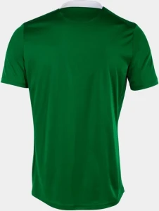 Футболка Joma FLAG III зелено-белая 103157.452