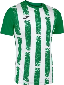 Футболка Joma INTER III зелено-белая 103164.452