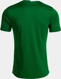 Футболка Joma TIGER VII зелено-белая 104378.452