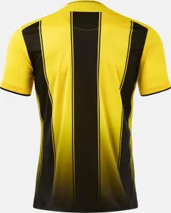 Футболка Joma TIGER VIII желто-черная 105243.901