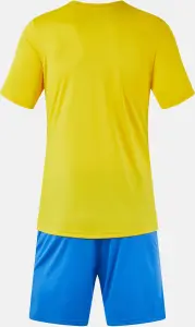 Комплект футбольної форми Joma PHOENIX II жовто-синій 103124.907