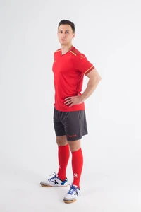 Комплект футбольной формы Kelme SEGOVIA красно-темно-серый 3871001.9667