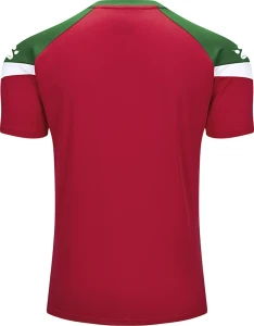 Футболка Kelme BRAVO красно-зеленая 7351TX1092.6013