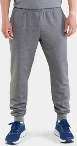 Спортивні штани Lotto ELITE PANT MEL CO сірі 216571/P73