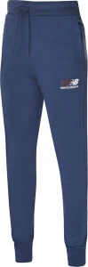 Спортивные штаны New Balance NB SPORT CORE PLUS синие MP23901NNY