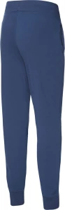 Спортивні штани New Balance NB SPORT CORE PLUS сині MP23901NNY