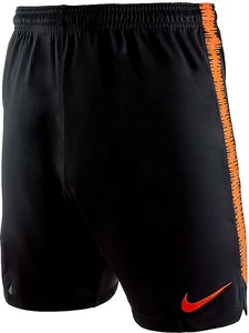 Шорты Nike Netherlands Dri-FIT Squad черные 893524-010