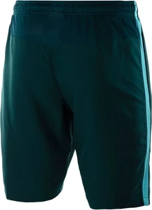 Шорты Nike Dry Short SQD Z PR зеленые 818654-346
