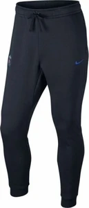 Спортивные штаны Nike PSG Sportswear Mens Fleece CUFFED Pants CRE синие 869211-475