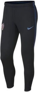 Спортивные штаны Nike Croatia Dri-FIT Squad черные 893547-010