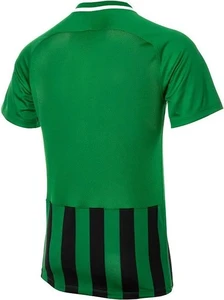 Футболка Nike STRIPED DIVISION III зелено-чорна 894081-302
