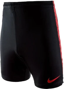 Шорты Nike POLAND DRI-FIT SQUAD SHORTS черные 893528-010
