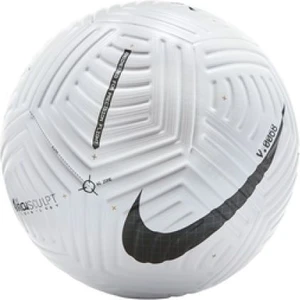 Футбольный мяч Nike Flight белый CN5332-100 Размер 5