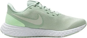 Кросівки жіночі Nike Revolution 5 блідо-зелені BQ3207-300