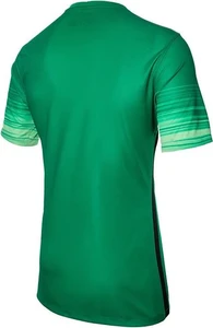 Футболка Nike CLUB GENIUS LS GK P JERSEY зелена 678165-319