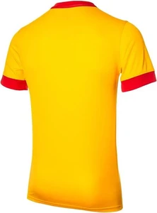 Футболка Nike DRY PARK DERBY II желто-красная 894312-739