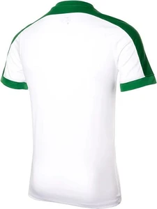 Футболка Nike STRIKER IV біло-зелена 725892-102