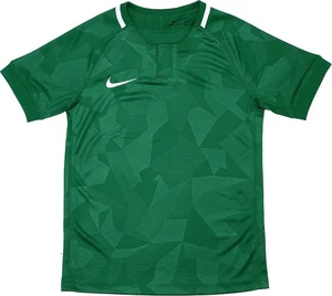 Футболка підліткова Nike CHALLENGE II SS JERSEY зелена 894053-341