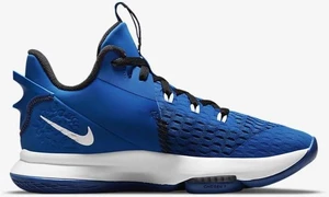 Кросівки Nike LEBRON WITNESS V сині CQ9380-400