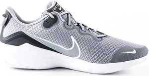 Кросівки Nike Renew Arena 2 сірі CD0311-003