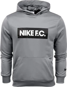 Худі Nike M NK DF FC LIBERO HOODIE сіре DC9075-065