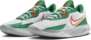 Кроссовки баскетбольные Nike PRECISION VI бело-зеленые DD9535-103