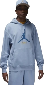 Толстовка Nike JORDAN M J ESS FLC BASELINE HOODIE голубая FD7545-436