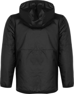 Куртка підліткова Nike THERMA REPEL PARK20 FALL JACKET чорна CW6159-010