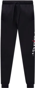 Спортивні штани Nike JORDAN ESSENTIALS FLEECE JOGGERS чорні HQ4645-010