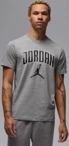 Футболка Nike JORDAN CITY 88 SS CREW серая HQ0009-091