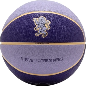 Баскетбольний м'яч Nike ALL COURT 2.0 8P L JAMES DEFLATED фіолетово-бузковий Розмір 7 N.100.4368.509.07
