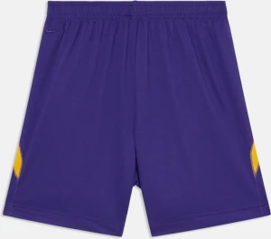 Шорти баскетбольні Nike KOBE DRI-FIT 6IN BASKETBALL SHORTS фіолетові HJ8103-547