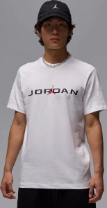 Футболка Nike JORDAN AIR біла IB7353-101