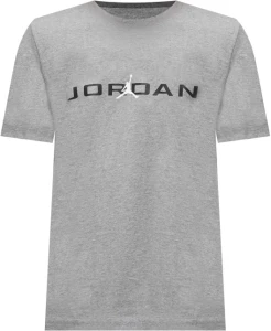 Футболка Nike JORDAN AIR сіра IB7353-091