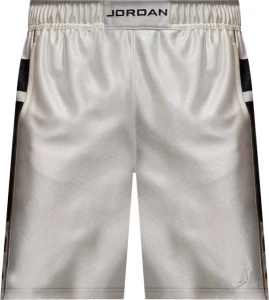 Шорти Nike JORDAN BROOKLYN CAT SCRATCH молочно-чорні HV0560-133